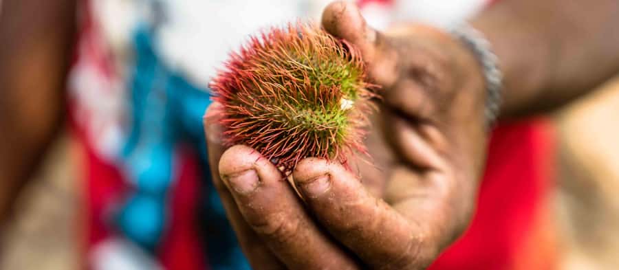 Spice Farm - spice up your life in Zanzibar - Key points to know before you go
