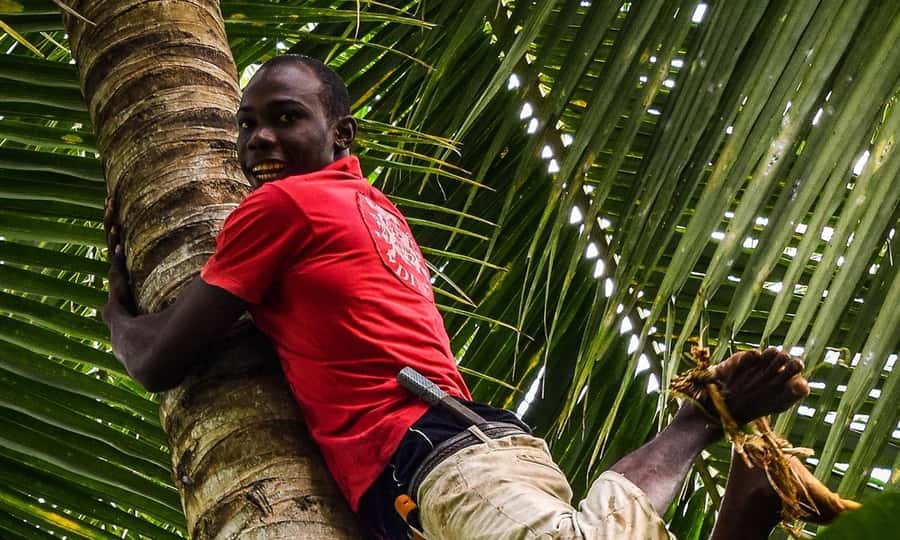 Spice Farm - spice up your life in Zanzibar - Why Zanzibar became the Spice Island