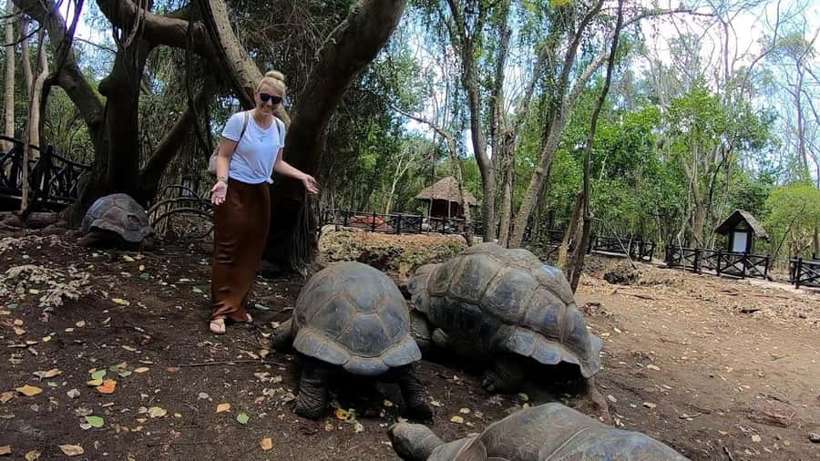 Spice farm,Stone town and Jozani forest tour with lunch - Starting with Zanzibar’s spice farms