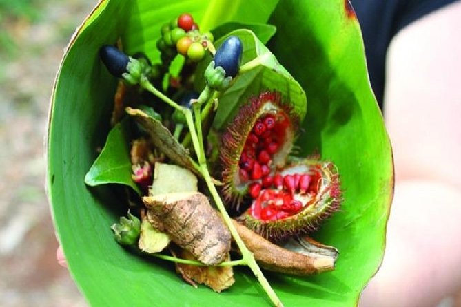 Spice Tour & Cooking Class in Zanzibar - Key points to know before booking