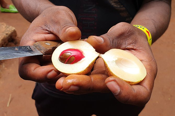 Spice Tour & Cooking Class in Zanzibar - Local guides make the day more personal