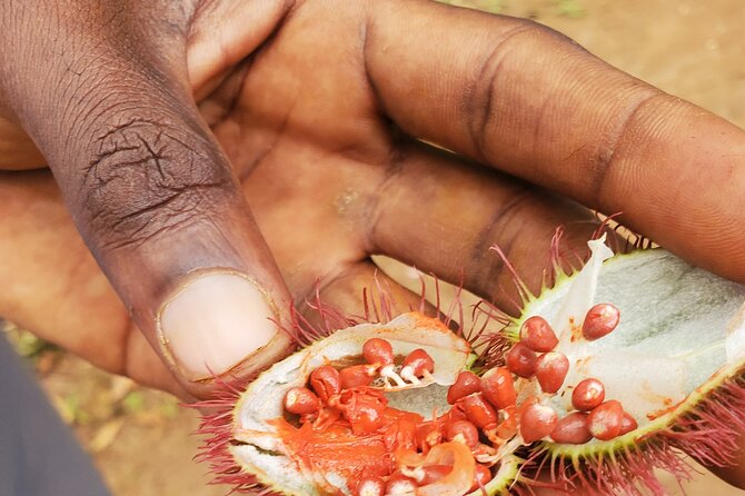 Spice Tour Zanzibar - Getting from Stone Town to the plantation