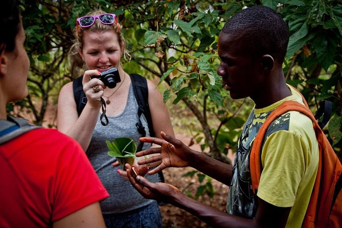 Spices and Stone Town Tour in Zanzibar - How the two stops fit together