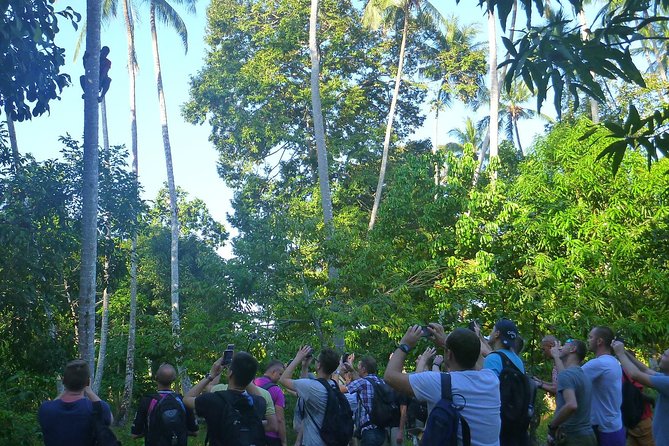 Spices and Stone Town Tour in Zanzibar - Hotel transport and group size