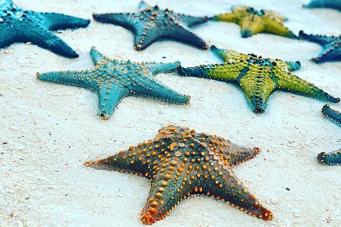 Starfish Adventure; The Rock Restaurant; Kuza Cave, Salaam Cave - Seafood and the price of The Rock Restaurant