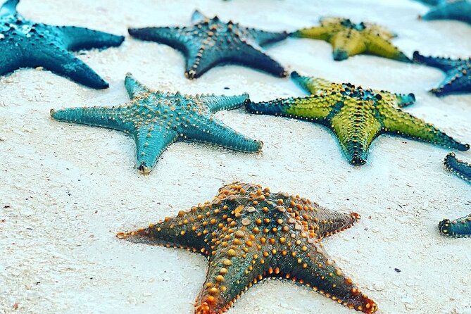 Starfish Beach; The Rock; Kuza Cave; Paje Beach; Salaam Cave Tour - One long day along Zanzibar’s southeast coast