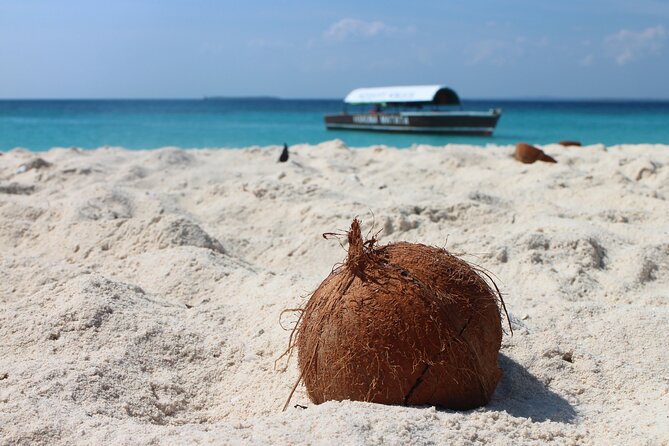 Stone Town and Prison Island Tour (Full Day) - The boat ride to Prison Island