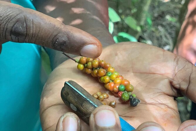 STONE TOWN and SPICE FARM TOUR ( Lunch Included ) - Swahili lunch in Stone Town