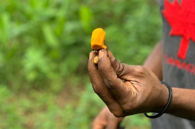 STONE TOWN and SPICE FARM TOUR ( Lunch Included ) - Walking through Stone Town’s layered past