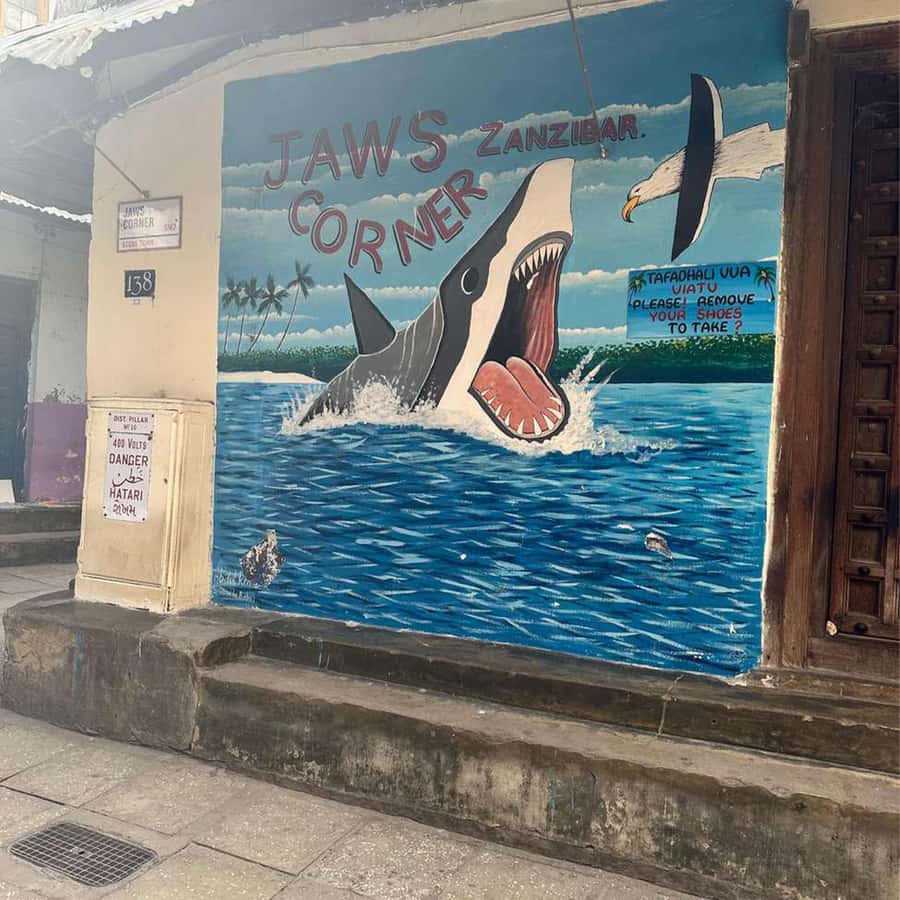 Stone Town Guided Tour: Culture, Slave Market & Spice Market - Key points to know before you book