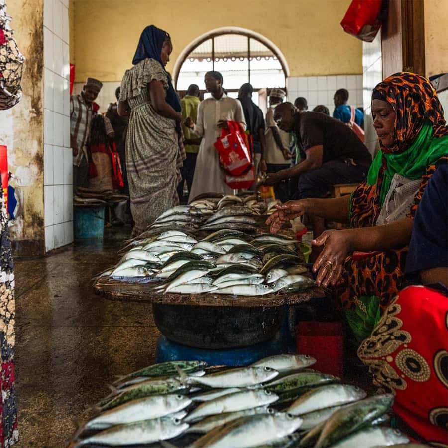 Stone Town Guided Tour: Culture, Slave Market & Spice Market - Freddie Mercury’s House, a lighter stop