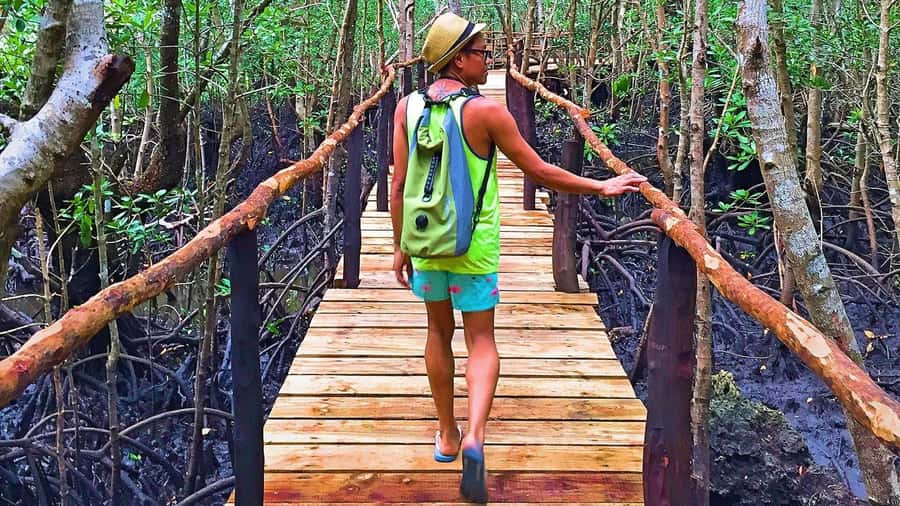 Stone Town: Jozani Chwaka Bay National Park Half-Day Tour - What this Jozani half-day tour is really like