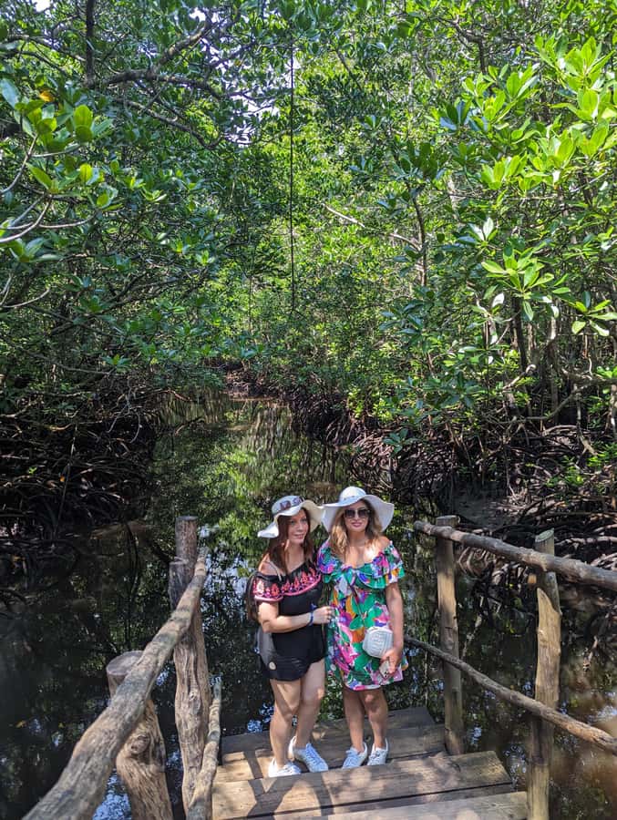 Stone Town: Jozani Chwaka Bay National Park Half-Day Tour - Timing, shoes, and practical comfort