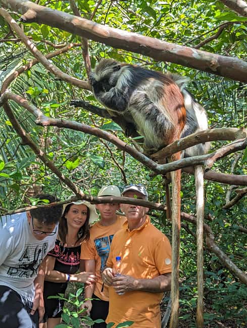 Stone Town: Jozani Chwaka Bay National Park Half-Day Tour - Who should choose this Jozani outing?