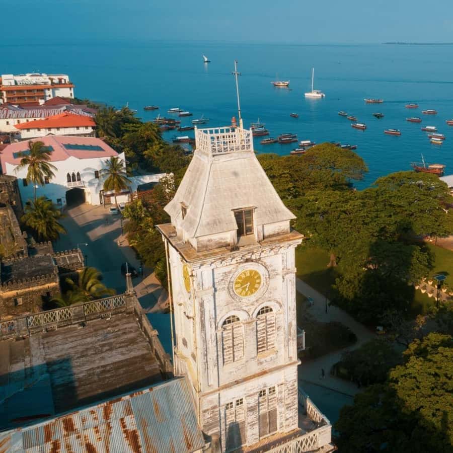Stone Town, Jozani Forest, Sea Turtles & The Rock Restaurant - What the $169 price really covers