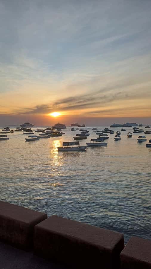Stone Town Private Guided Walking Tour - Forodhani and the waterfront setting