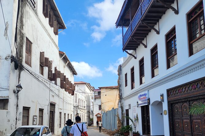 Stone Town Private Tour in Zanzibar - What the private format is really worth at $25.55