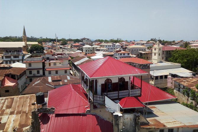 Stone Town Private Walking Tour - The former slave market and difficult history