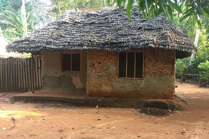 Stone Town, Spice Farm and Jozani Forest Private Tour - Jozani Forest: your best chance for red colobus monkeys