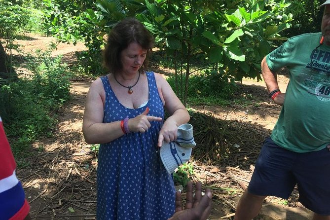 Stone Town, Spice Farm and Jozani Forest Private Tour - The mangrove boardwalk adds a coastal lesson