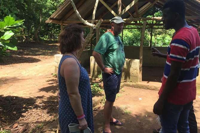 Stone Town, Spice Farm and Jozani Forest Private Tour - Why private transport changes the value