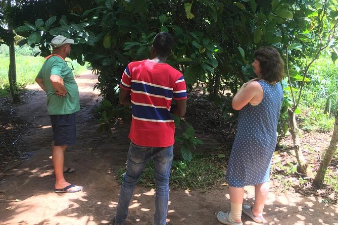 Stone Town, Spice Farm and Jozani Forest Private Tour - Language, rain, and what to clarify