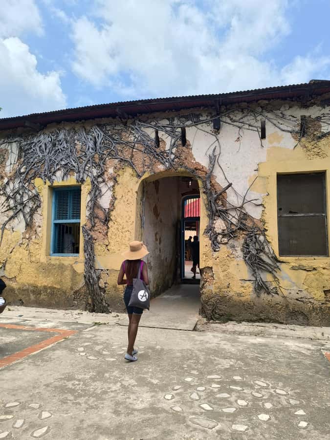 Stone town tour, Prison island and Nakupenda Sandbank - What this full Zanzibar day actually feels like