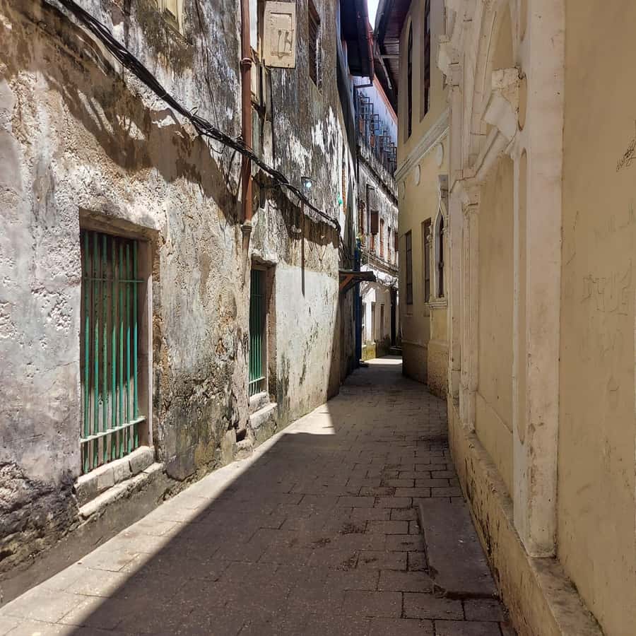 Stone town walking tour ( City tour) - Why Stone Town Works Best as a Walking Tour