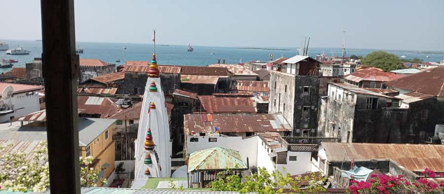 Stone town walking tour ( City tour) - A Sultan’s Palace and the Wider Story of Zanzibar