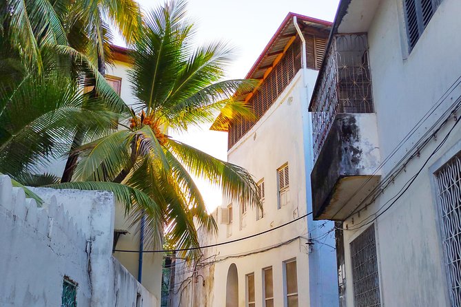 Stone Town Walking Tour in Zanzibar - Starting at Old Fort, Stone Town’s sturdy first stop