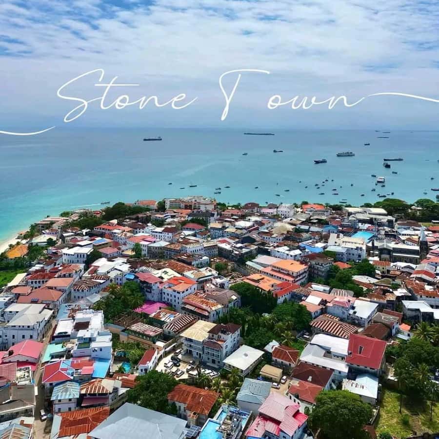 Stone Town Walking Tour with Female Guides - Starting at the former slave market
