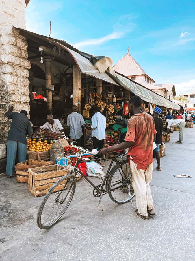 Stone Town Walking Tour With Local Expert Guide - Freddie Mercury House and the personal side of Stone Town