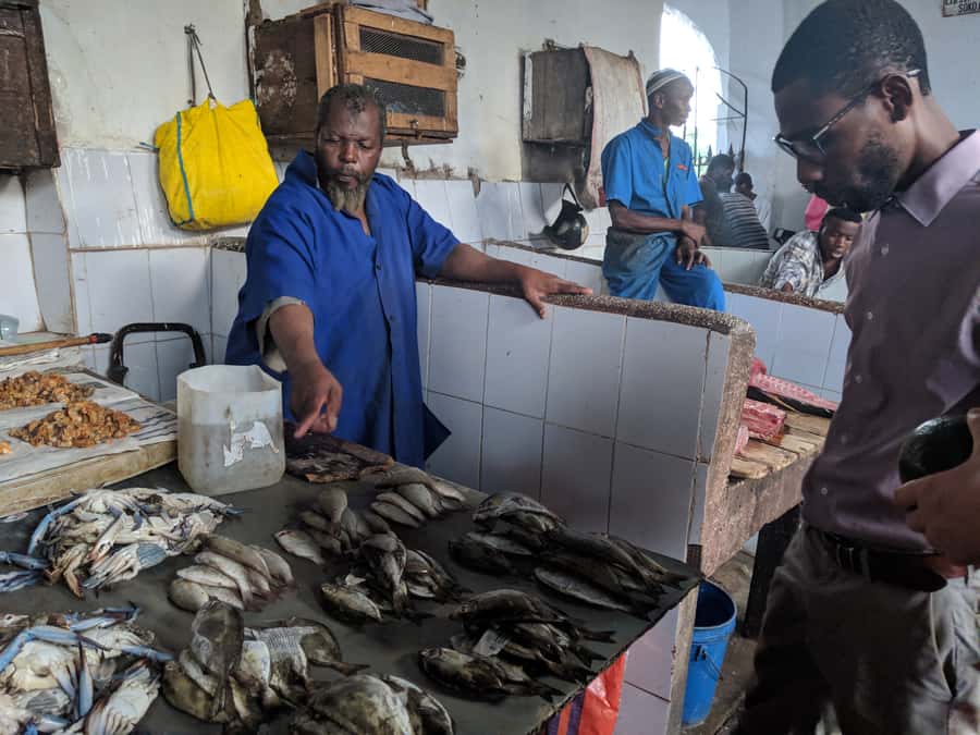 Stonetown Historical Walking Tour & Traditional Lunch - Peace Memorial and Natural History Museum