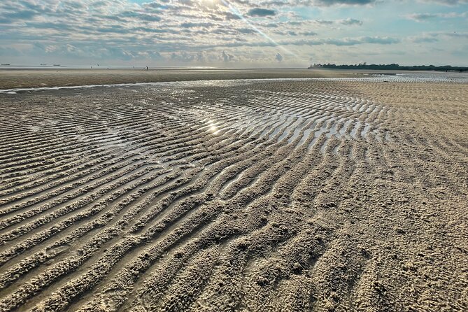 Sunrise Beach Walk with Picnic Breakfast Activity - Meeting fishermen and seeing the coast at work