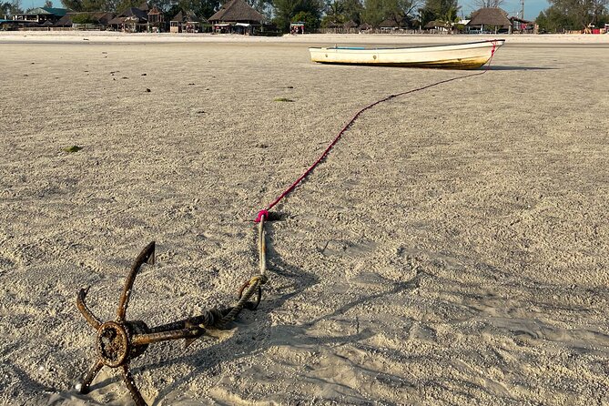 Sunrise Beach Walk with Picnic Breakfast Activity - Bringing your own yoga or workout routine