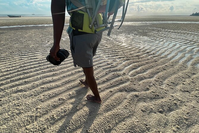 Sunrise Beach Walk with Picnic Breakfast Activity - A picnic breakfast after the walk