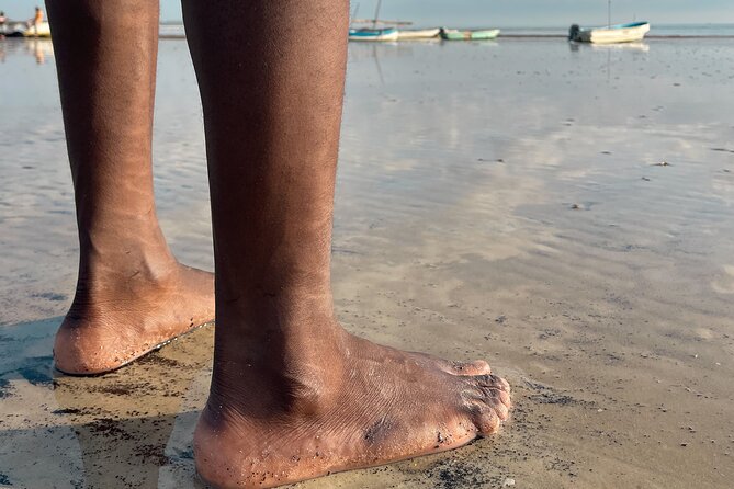 Sunrise Beach Walk with Picnic Breakfast Activity - Private transportation and group size