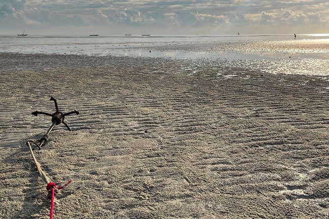 Sunrise Beach Walk with Picnic Breakfast Activity - Photo opportunities and the optional photographer