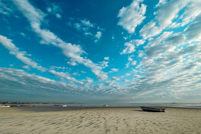 Sunrise Beach Walk with Picnic Breakfast Activity - Meeting at Ununio Beach Fish Market before sunrise