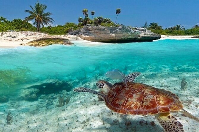 Super Zanzi, Nakupenda, Prison Island & Stone Town - Zanzibar - Meeting giant tortoises on Prison Island