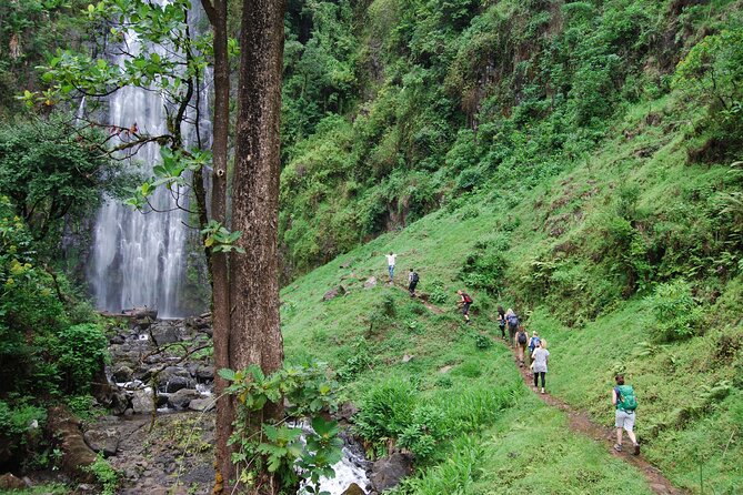 Swim to Materuni and Kikuletwa Hotspring - Key points to know before booking