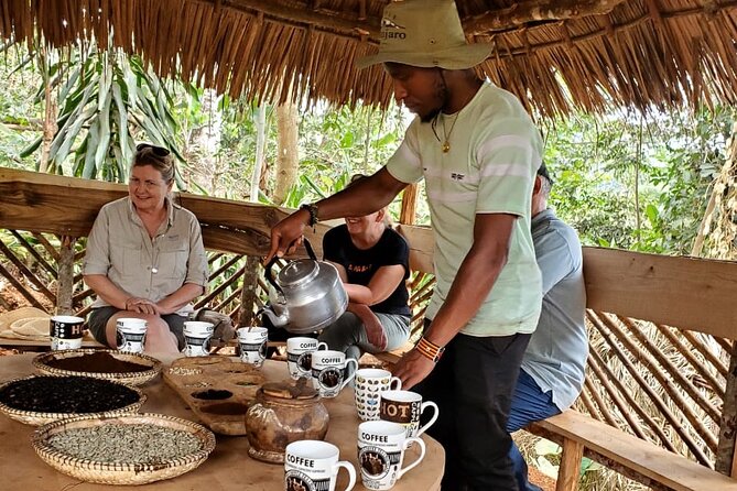 Swim to Materuni and Kikuletwa Hotspring - Who should book this day