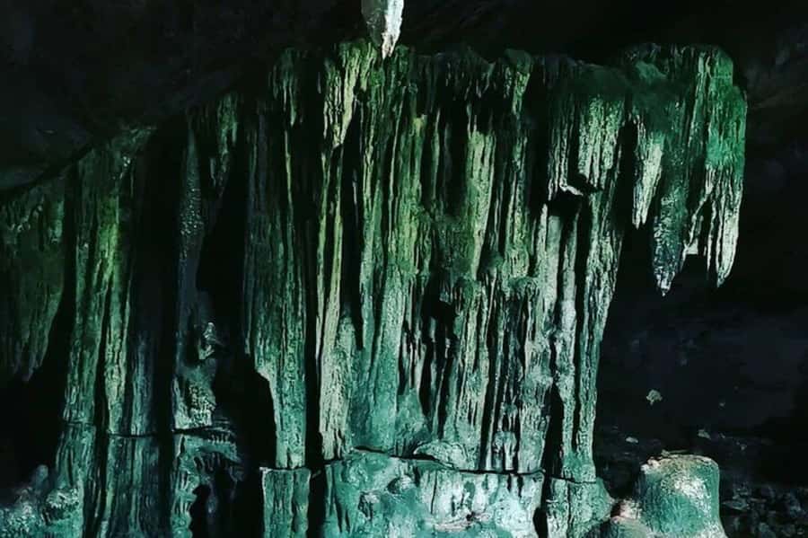 Swim with Sea Turtles, Kuza Cave, Paje Beach, The Rock Lunch - The dolphin and Jozani question