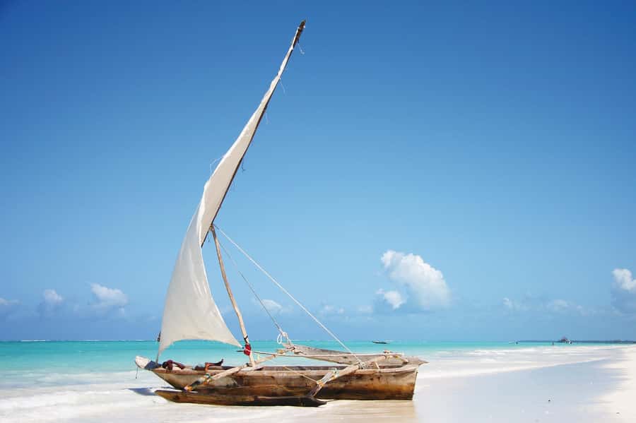 Swim with Sea Turtles, Kuza Cave, Paje Beach, The Rock Lunch - What the private format is really worth