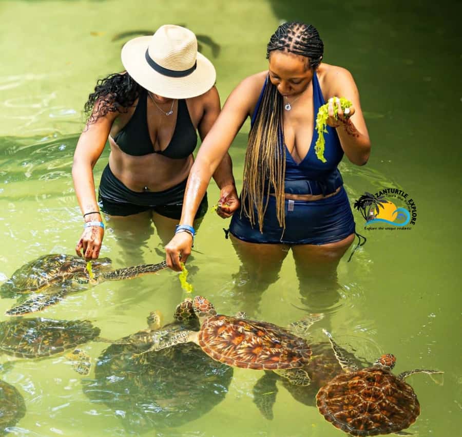 Swim with Turtles at The Lagoons Zanzibar & Stone Town Tour - Why this Zanzibar pairing works