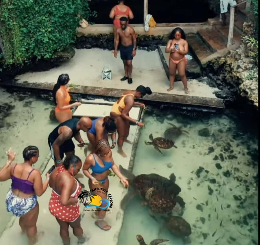 Swim with Turtles at The Lagoons Zanzibar & Stone Town Tour - Price, private access, and what is included