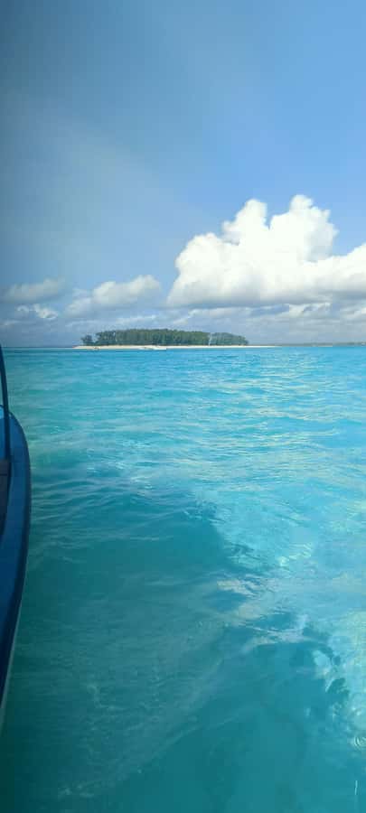 Swimming with tirltes at The Lagoons Zanzibar in Nungwi - Key points to know before you go