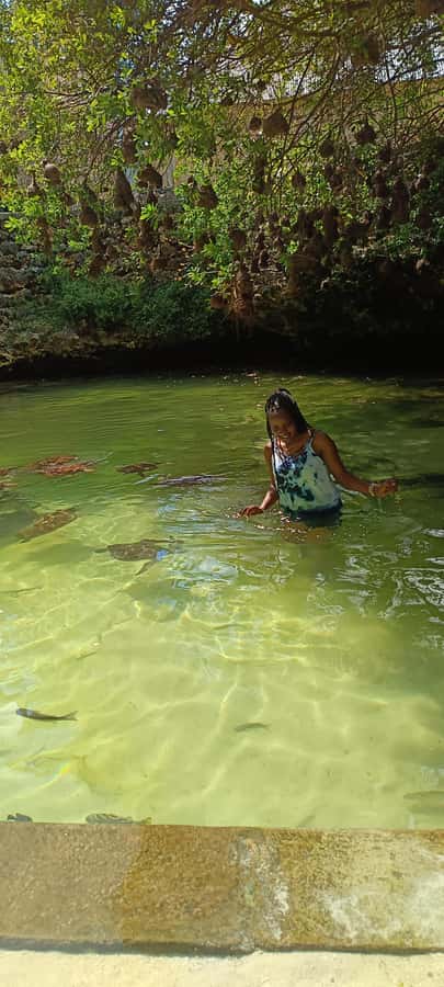 Swimming with tirltes at The Lagoons Zanzibar in Nungwi - What the hotel pickup adds to the $20 price