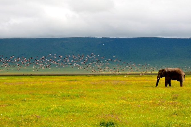 Tanzania 4 Days 3 Nights Budget camping safari to Serengeti and Ngorongoro - The 4x4, guides, and long hours on the road
