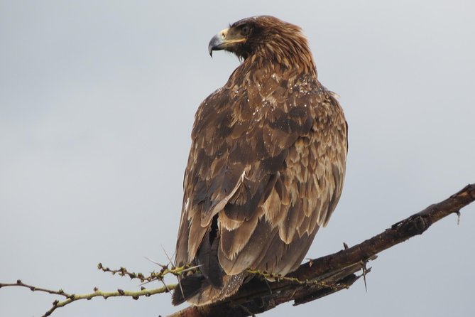 Tanzania - Arusha NP - Private Guided 4x4 Safari - Game Drive & Walking - Leaving Arusha in a private open-roof 4x4